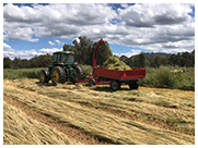 Omarv Series 2P Forage Harvesters