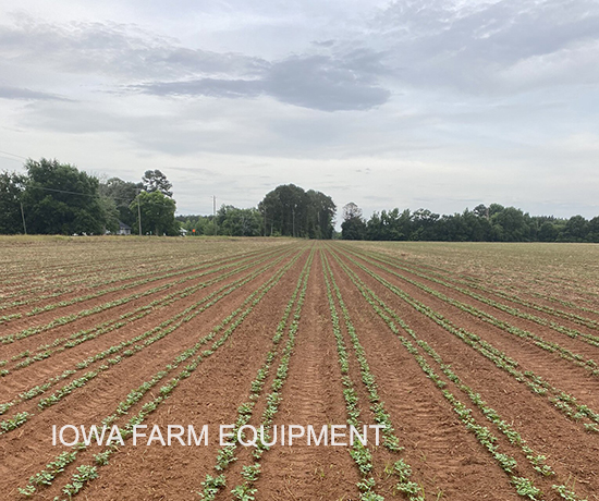 One Pass Peanut Farming Tillage